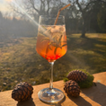 Bild in Galerie-Betrachter laden, Tiroler Zirben‑Sirup – alpine Frische im Glas 🌲✨
