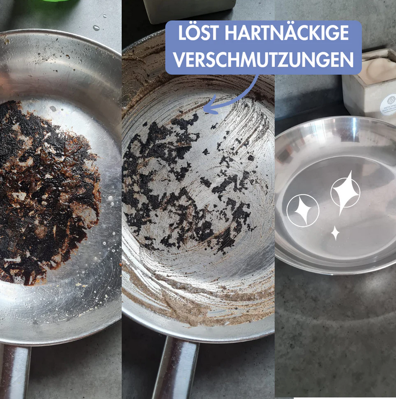 VEGA-SAUBA Spül- und Haushaltsseife