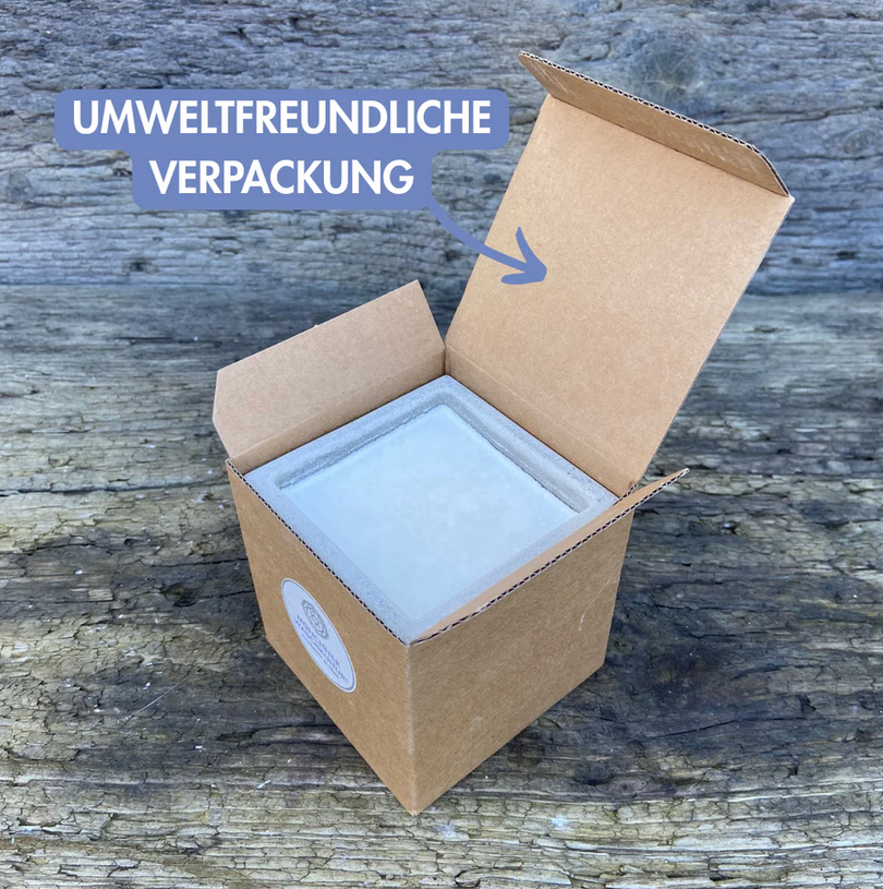 VEGA-SAUBA Spül- und Haushaltsseife