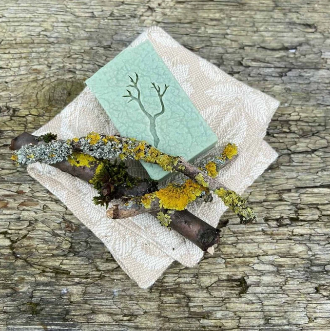 Xavers Holzige - Hand- und Duschseife