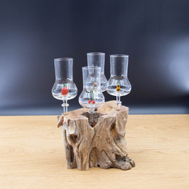 Schnapsgläser 4-er Set