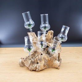 Schnapsgläser 6-er Set