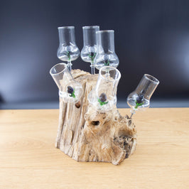 Schnapsgläser 6-er Set