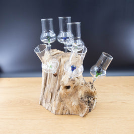 Schnapsgläser 6-er Set