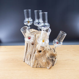 Schnapsgläser 6-er Set