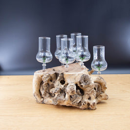 Schnapsgläser 6-er Set