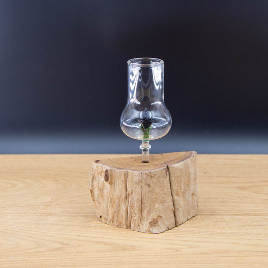 Schnapsgläser 1-er Set