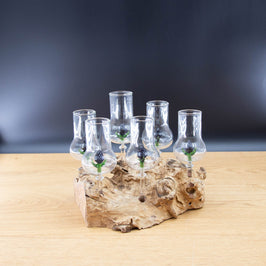 Schnapsgläser 6-er Set