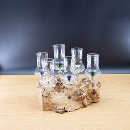 Schnapsgläser 6-er Set