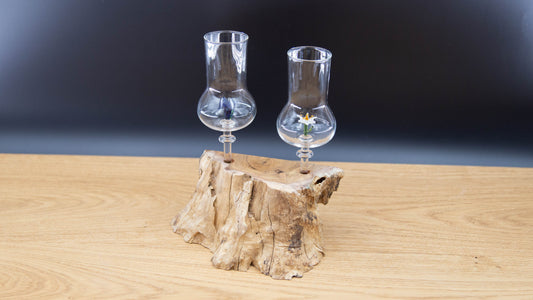 Schnapsgläser 2-er Set