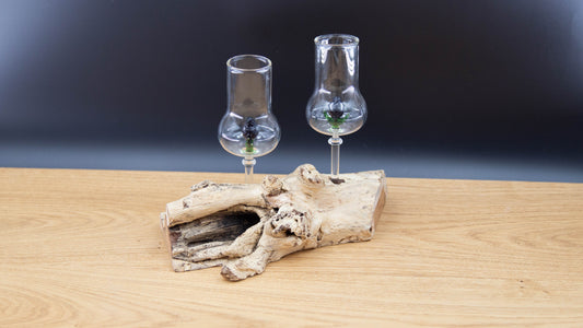 Schnapsgläser 2-er Set