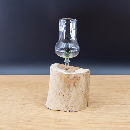 Schnapsgläser 1-er Set