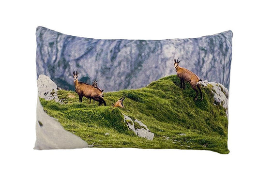 Zirbenkissen "Gämse"